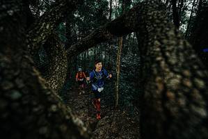 BIB: 
                            <button type="button" onclick="openModal(25677083)" class="btn btn-primary btn-sm float-right btn-popup" data-toggle="modal" data-target=".modal-high-quality">
                        <i class="fas fa-shopping-cart"></i> Add to Cart
                    </button>
                                            <button type="button" onclick="isThisMe(25677083, true)" class="btn btn-success btn-sm float-right btn-popup btn-isme hidden" data-toggle="tooltip" data-placement="bottom" title="นี่คือรูปของคุณใช่ไหม คลิกที่นี่เพื่อเอาเข้าอัลบั้ม">
                        <i class="fas fa-plus"></i> Add to album
                    </button>
                    <button type="button" onclick="isThisMe(25677083, false)" class="btn btn-warning btn-sm float-right btn-popup btn-isnotme hidden">
                        <i class="fas fa-ban"></i> Remove from album
                    </button>